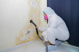 Best Mold Remediation for Healthcare Facilities  in Dover, OH